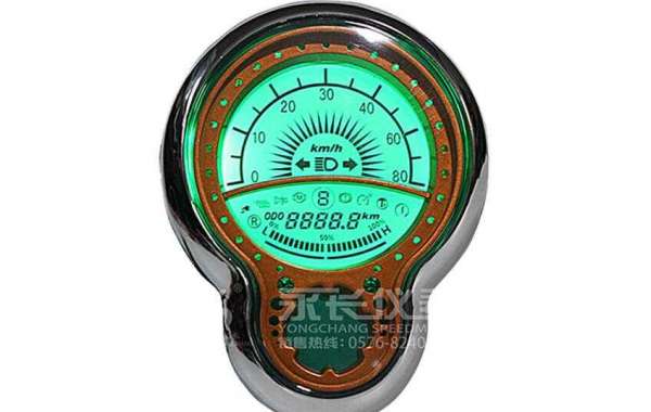 How to check Motorcycle Speedometer?