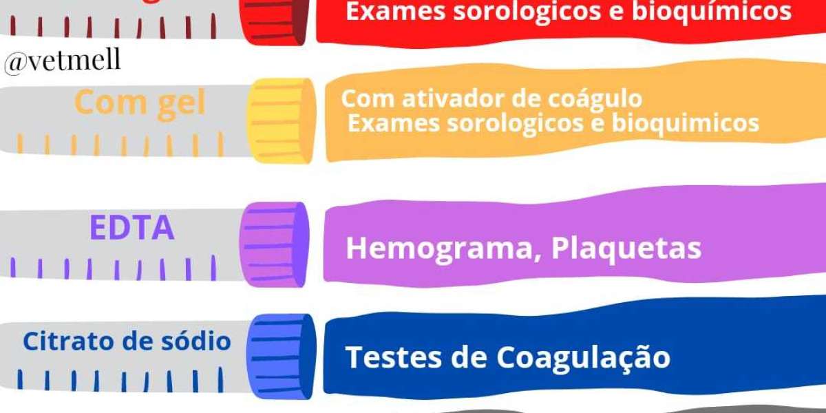 O Papel Crucial do Exame Histopatológico Veterinário no Diagnóstico Antecipado: Protetor da Saúde Animal