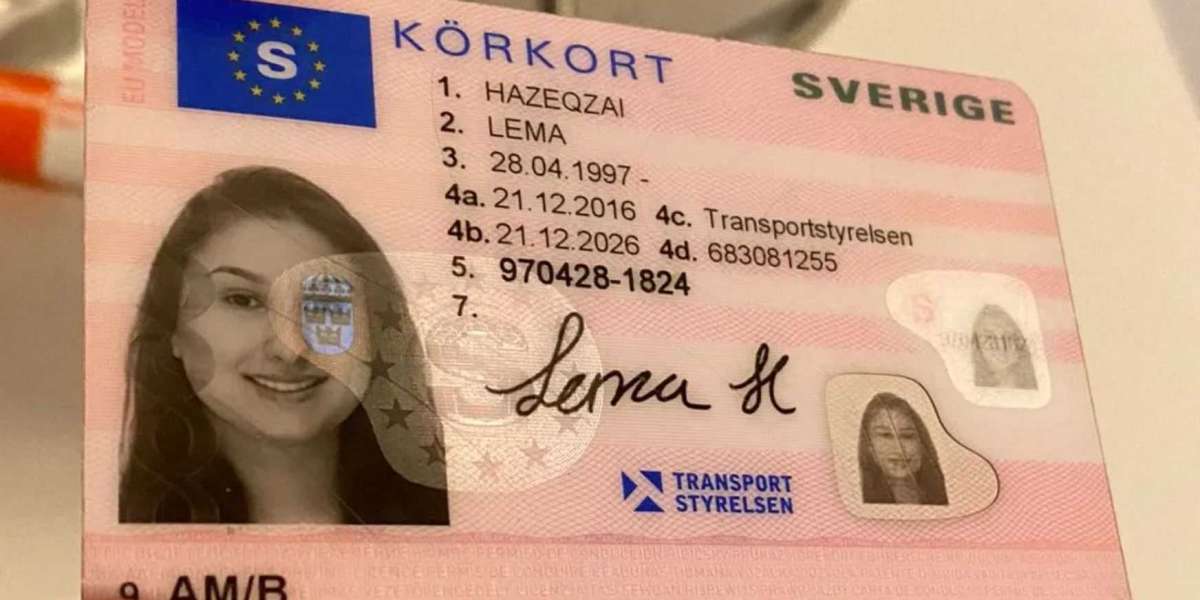 Key in the Cloud: How Digital Driving Licenses Will Reshape Our Roads by 2025