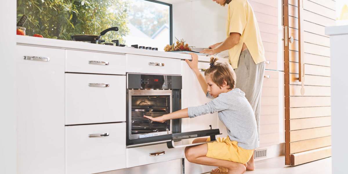 Intergrated Electric Oven: The Good, The Bad, And The Ugly
