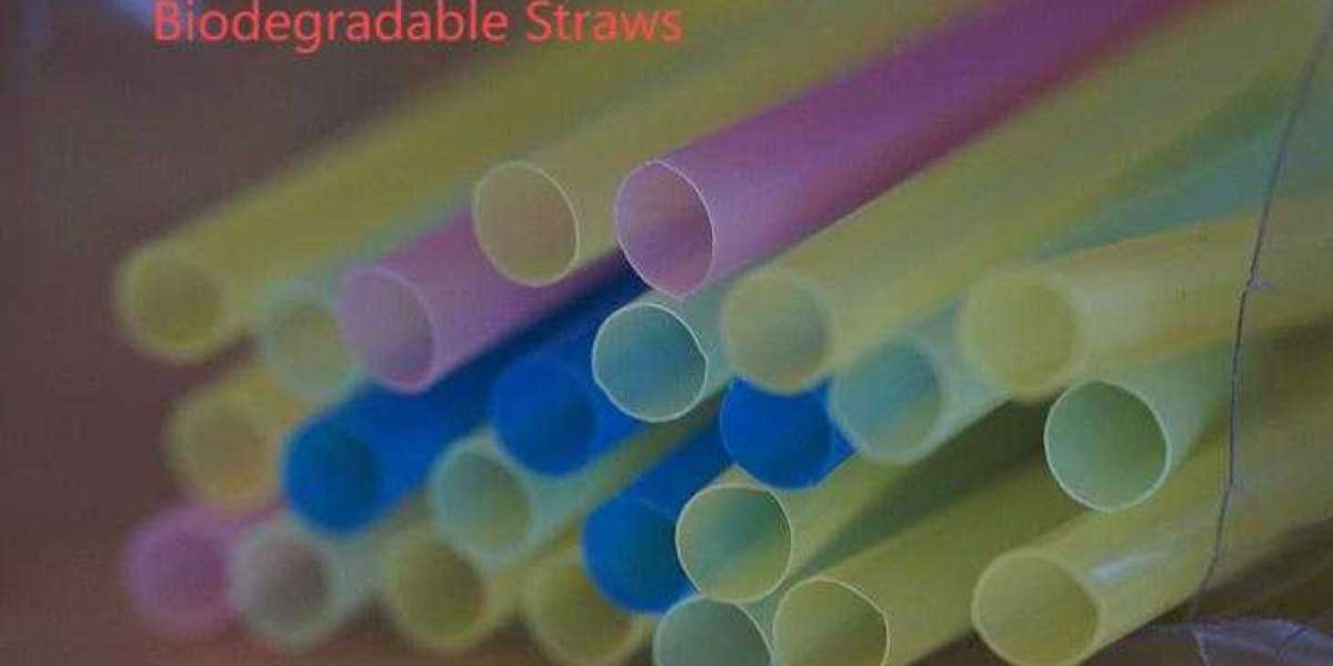 Exploring Eco-Conscious Straw Alternatives