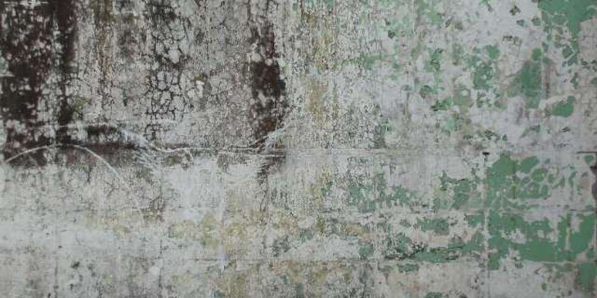 Article Picture