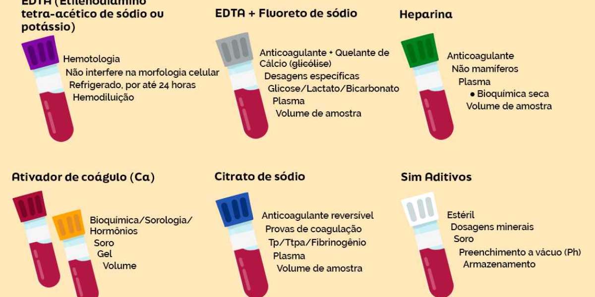 Como o PRÉ 3 Pode Transformar a Saúde Renal de Cães e Gatos